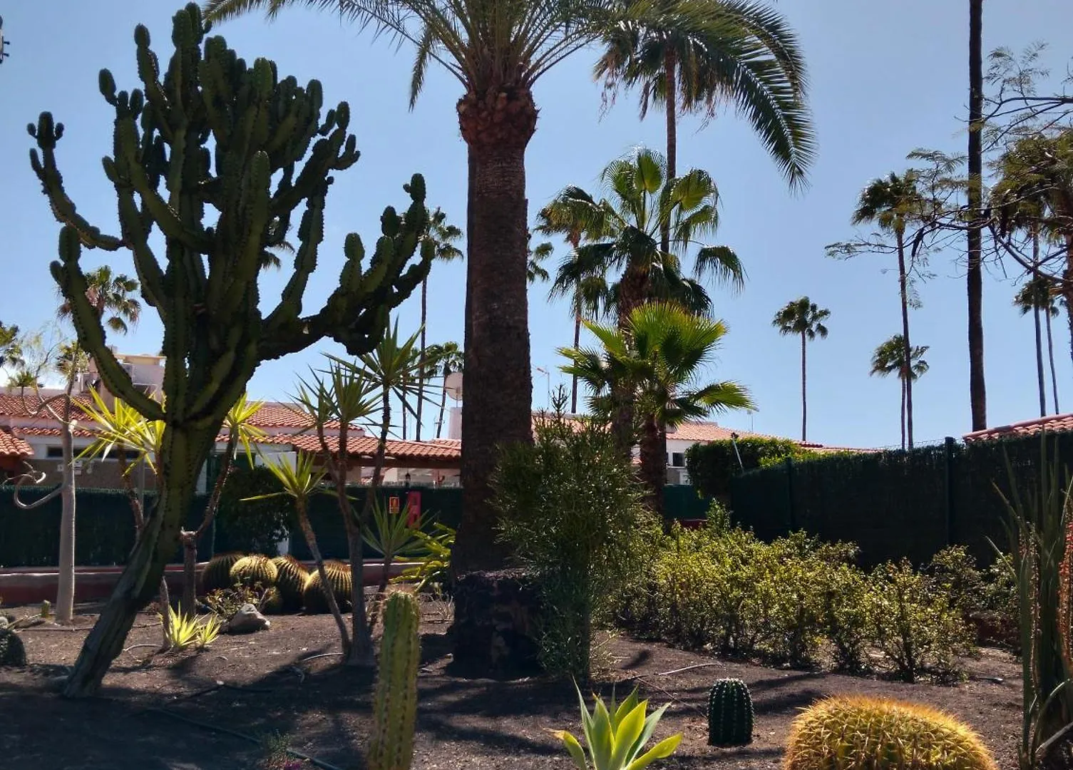 Maspalomas Paradise 0*, ماسبالوماس